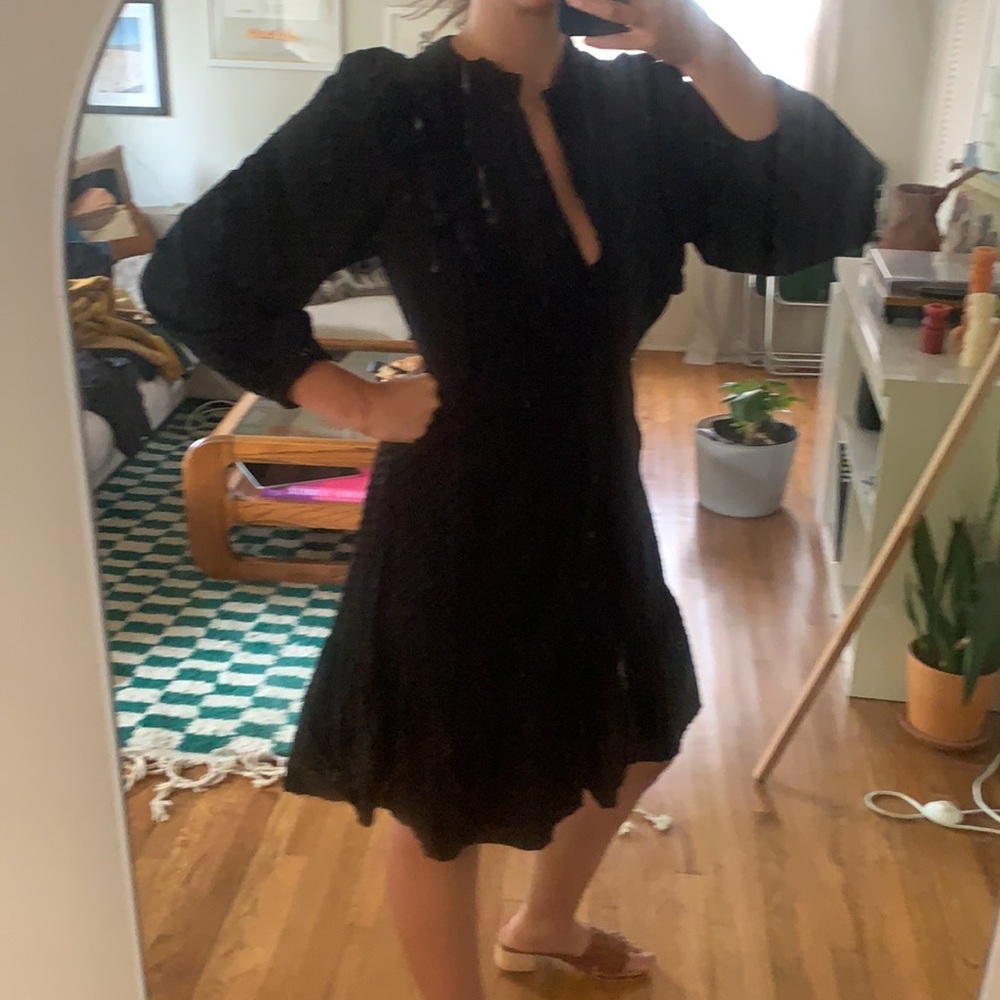 Embroidered Button Up Ruffle Mini Dress - Picture 3 of 6